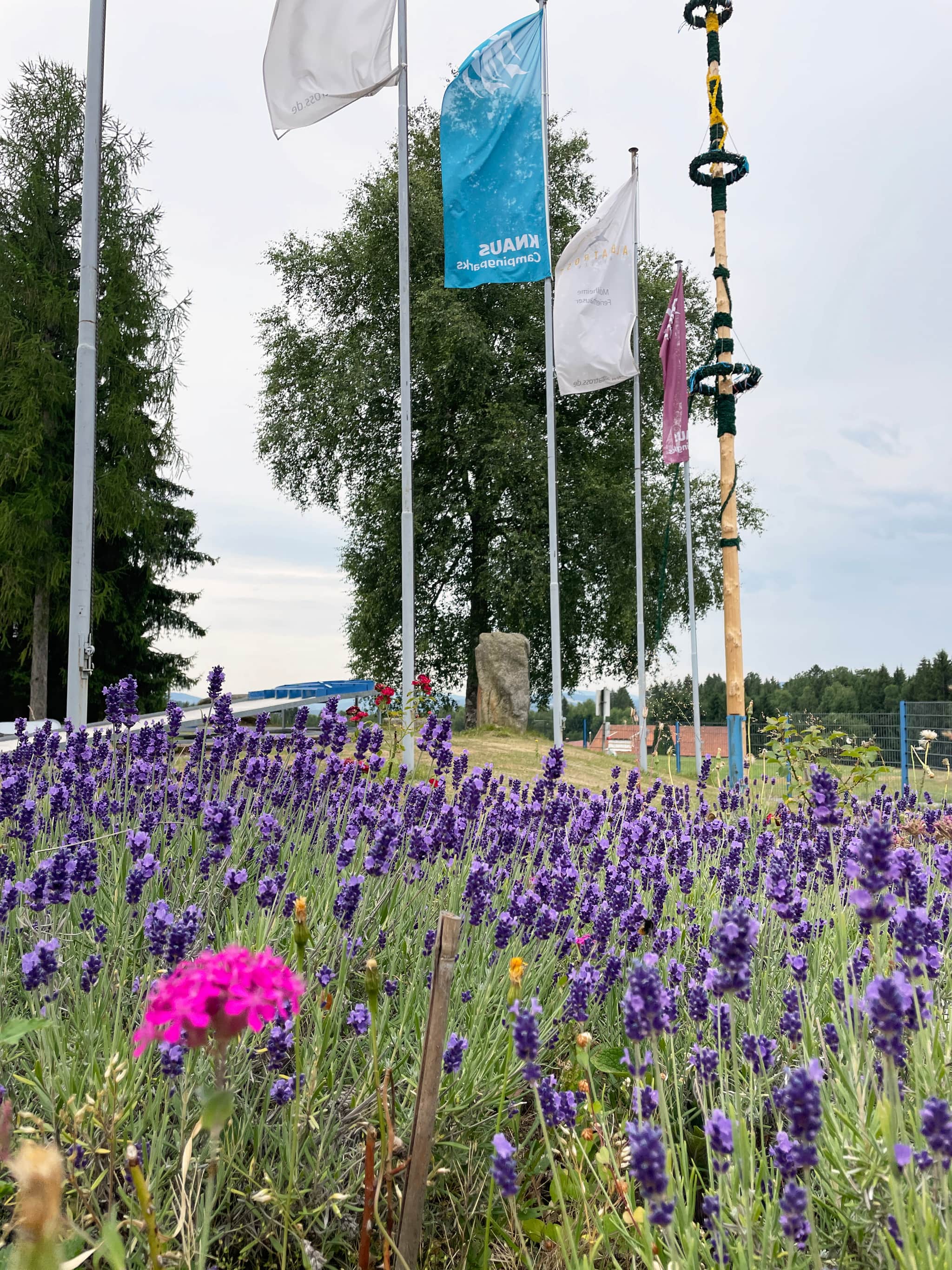 Einfahrt zum Campingpark Lackenhäuser