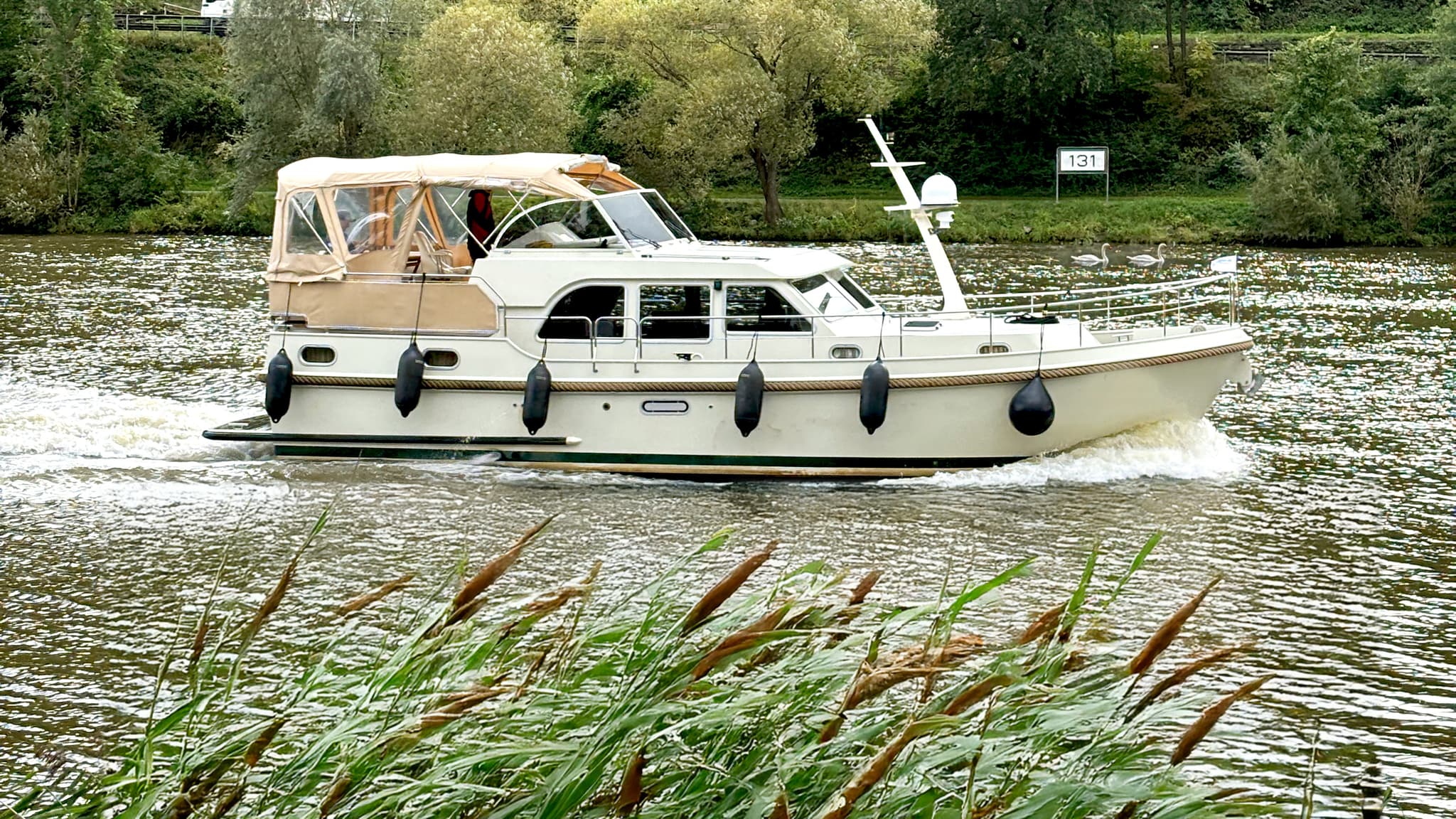 Ein weißes Motorboot mit beigem Verdeck fährt auf einem Fluss, umgeben von Grünzeug und Schilf im Vordergrund.