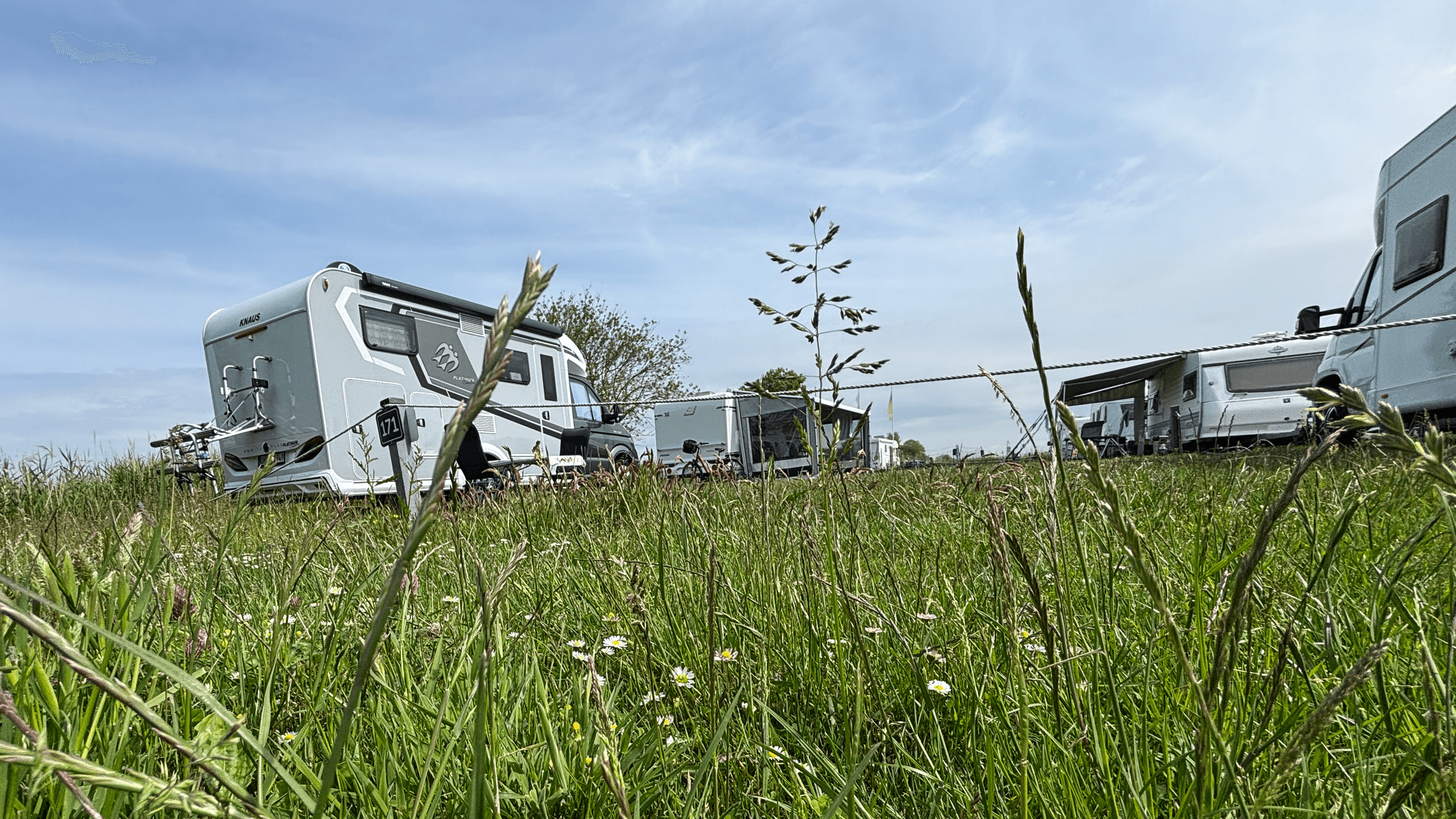 Tiefblick auf ein Grasfeld mit Wildblumen, umgeben von geparkten Wohnmobilen unter einem teilweise bewölkten Himmel.