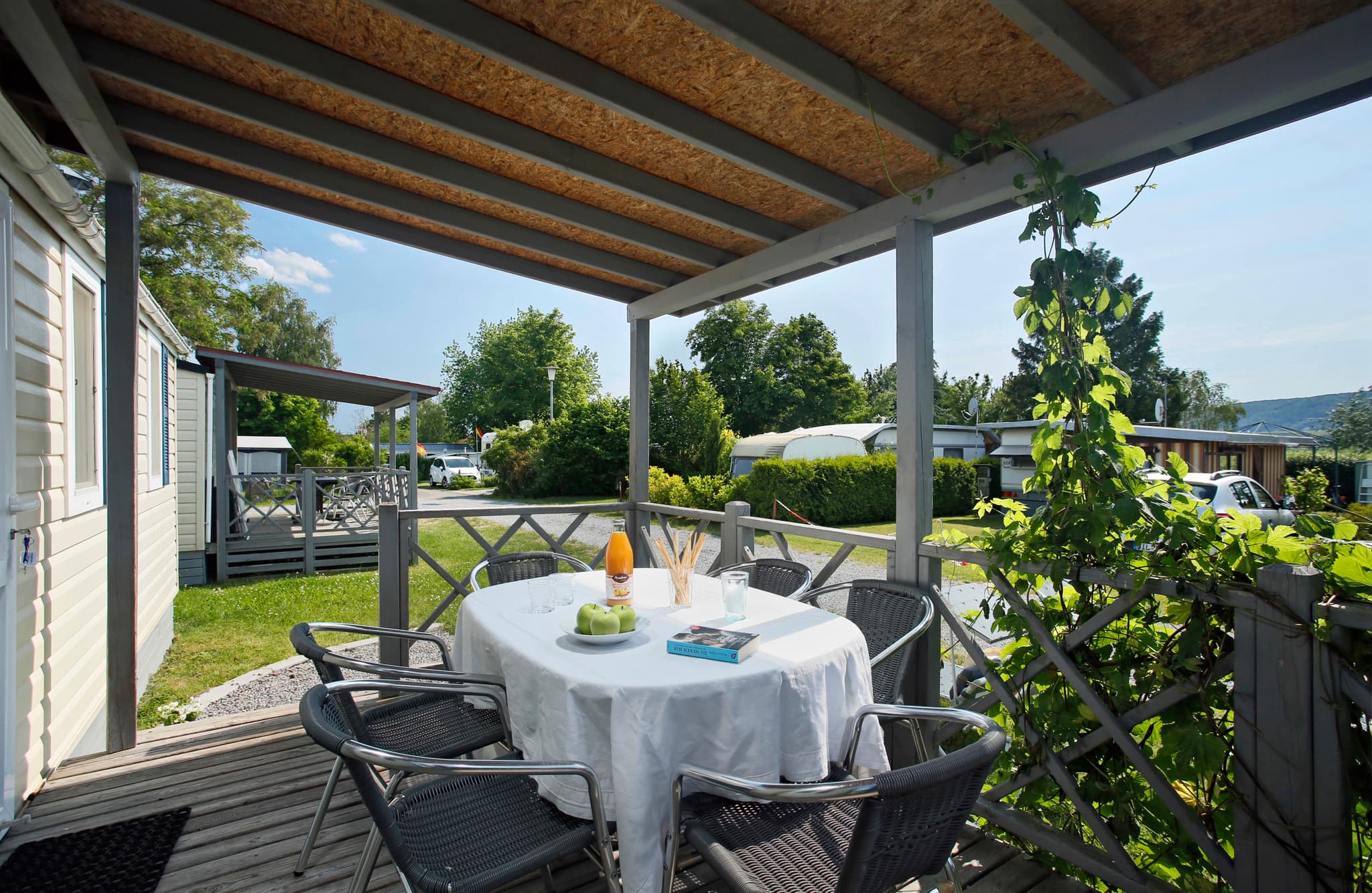 Überdachte Terrasse mit einem runden Tisch für vier Personen, umgeben von Stühlen. Begrünung und Blick auf einen Campingplatz im Hintergrund.