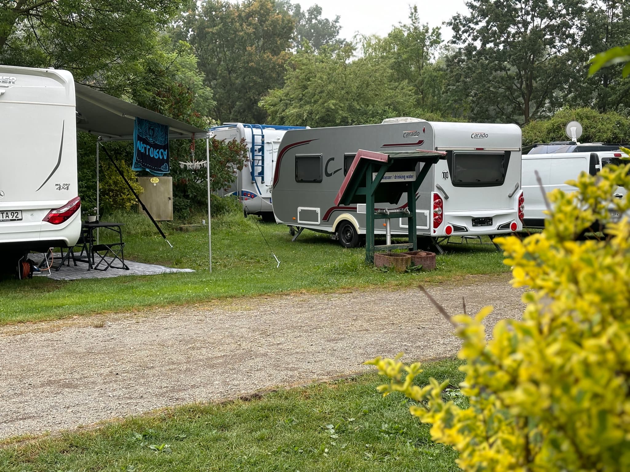 Galleriebild