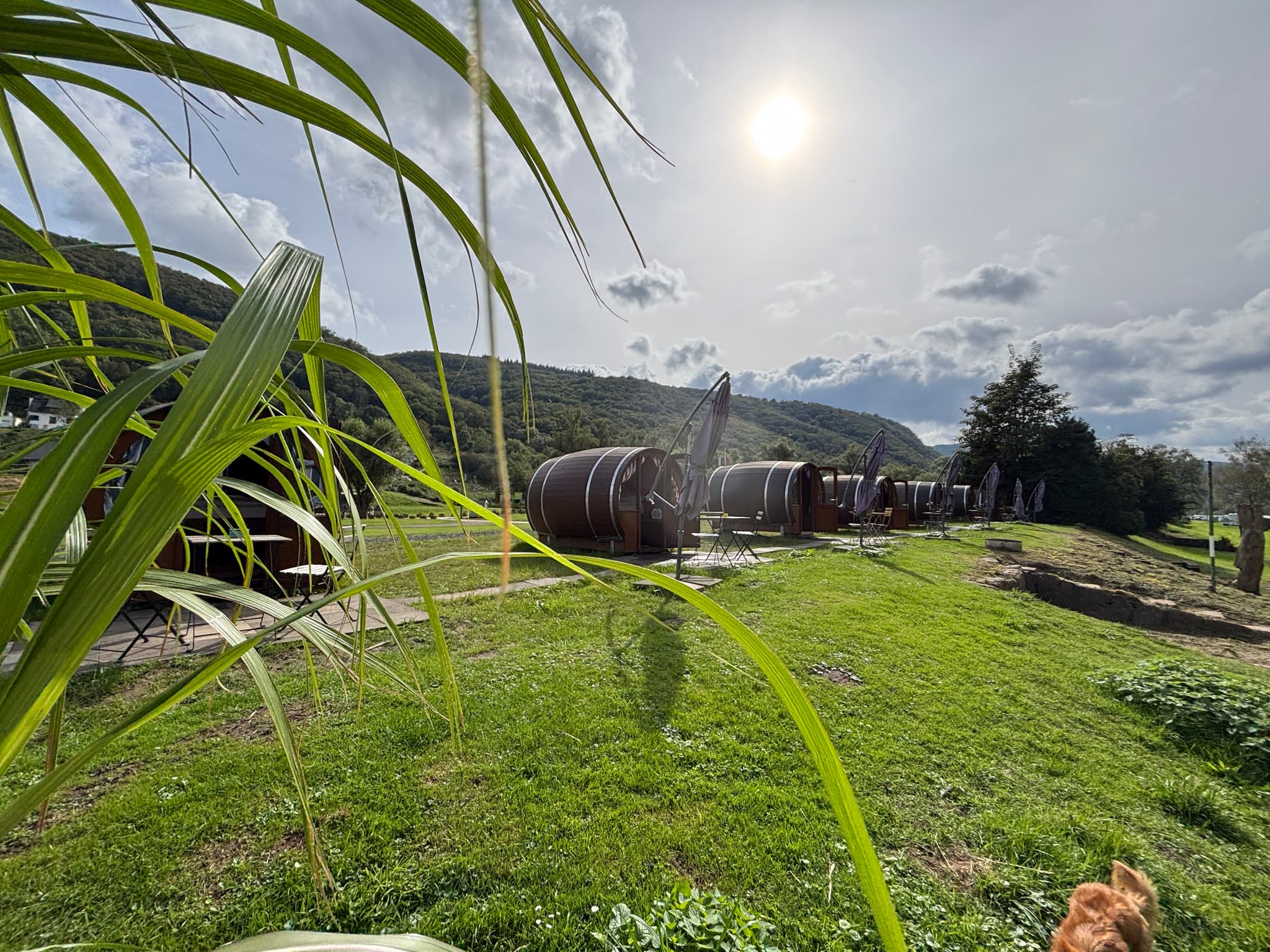 Hintergrundbild