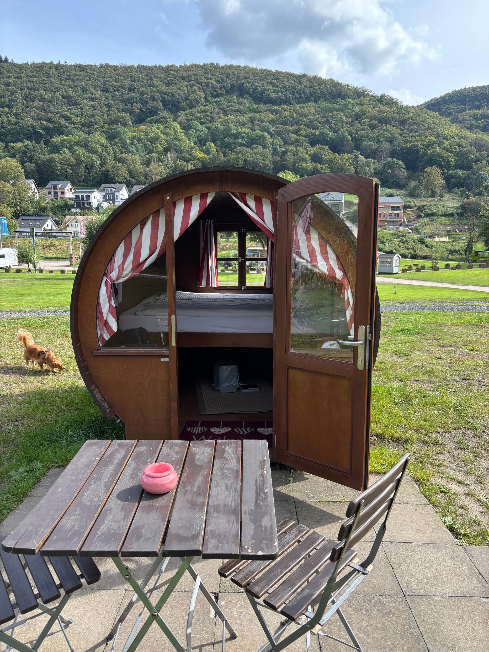 Galleriebild