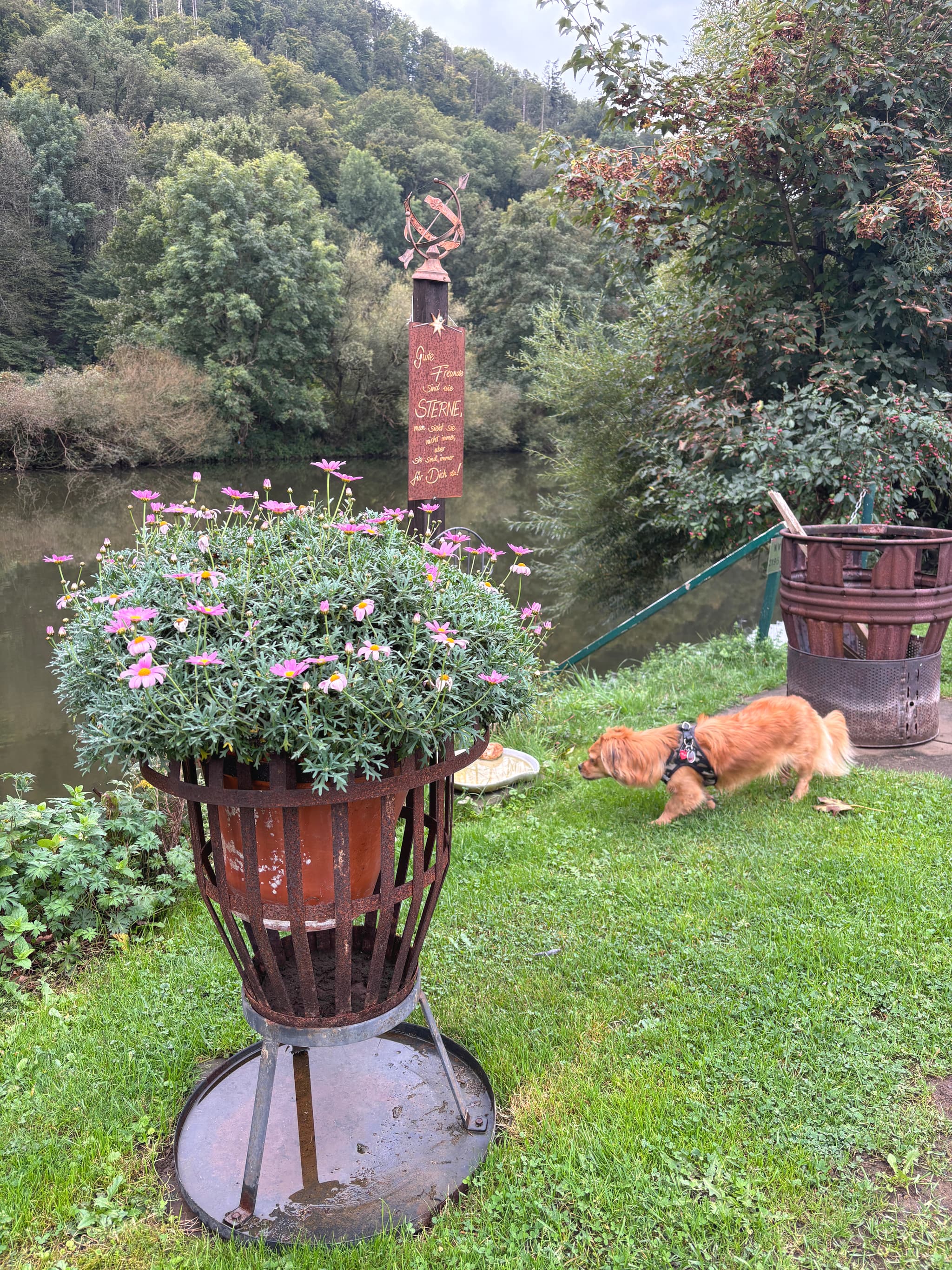 Lahn Stellplatz