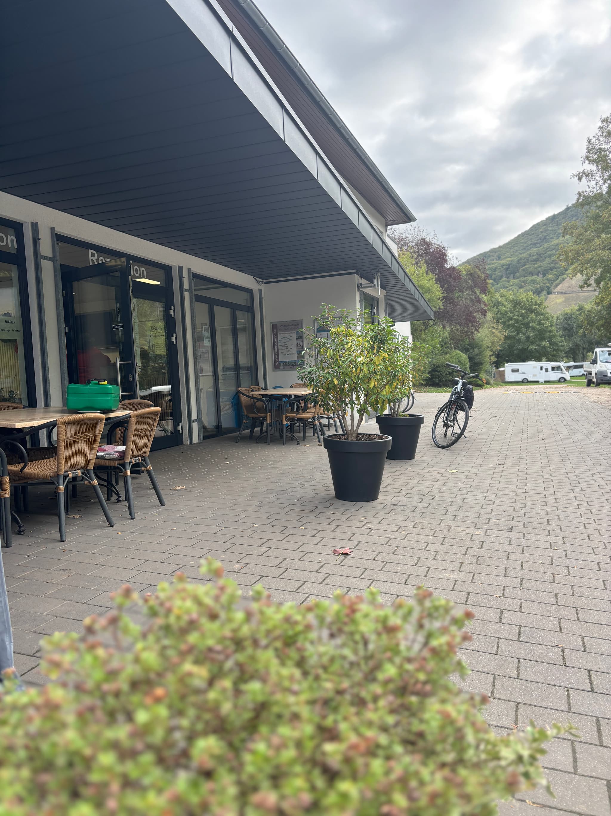 Galleriebild