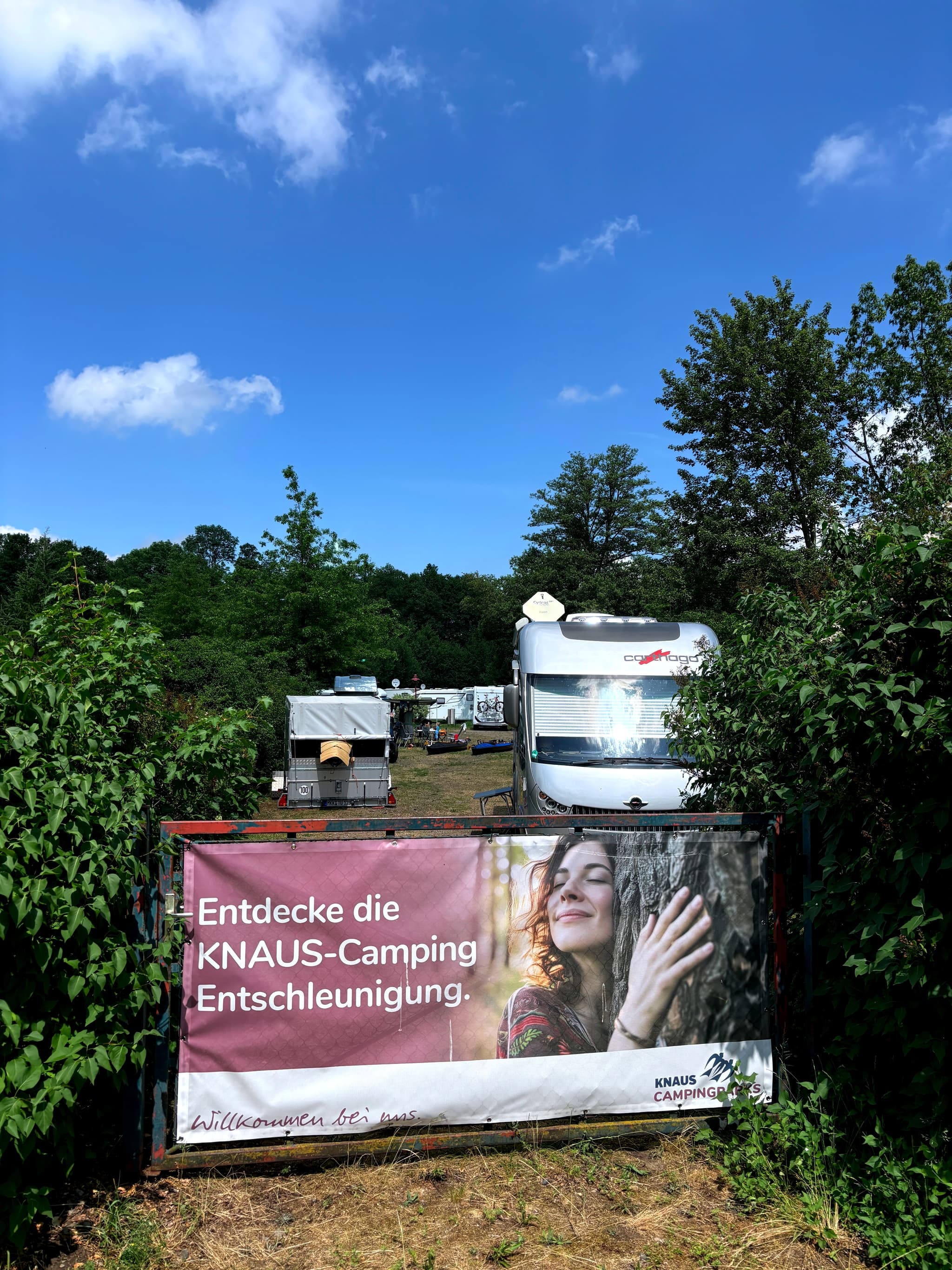 Galleriebild