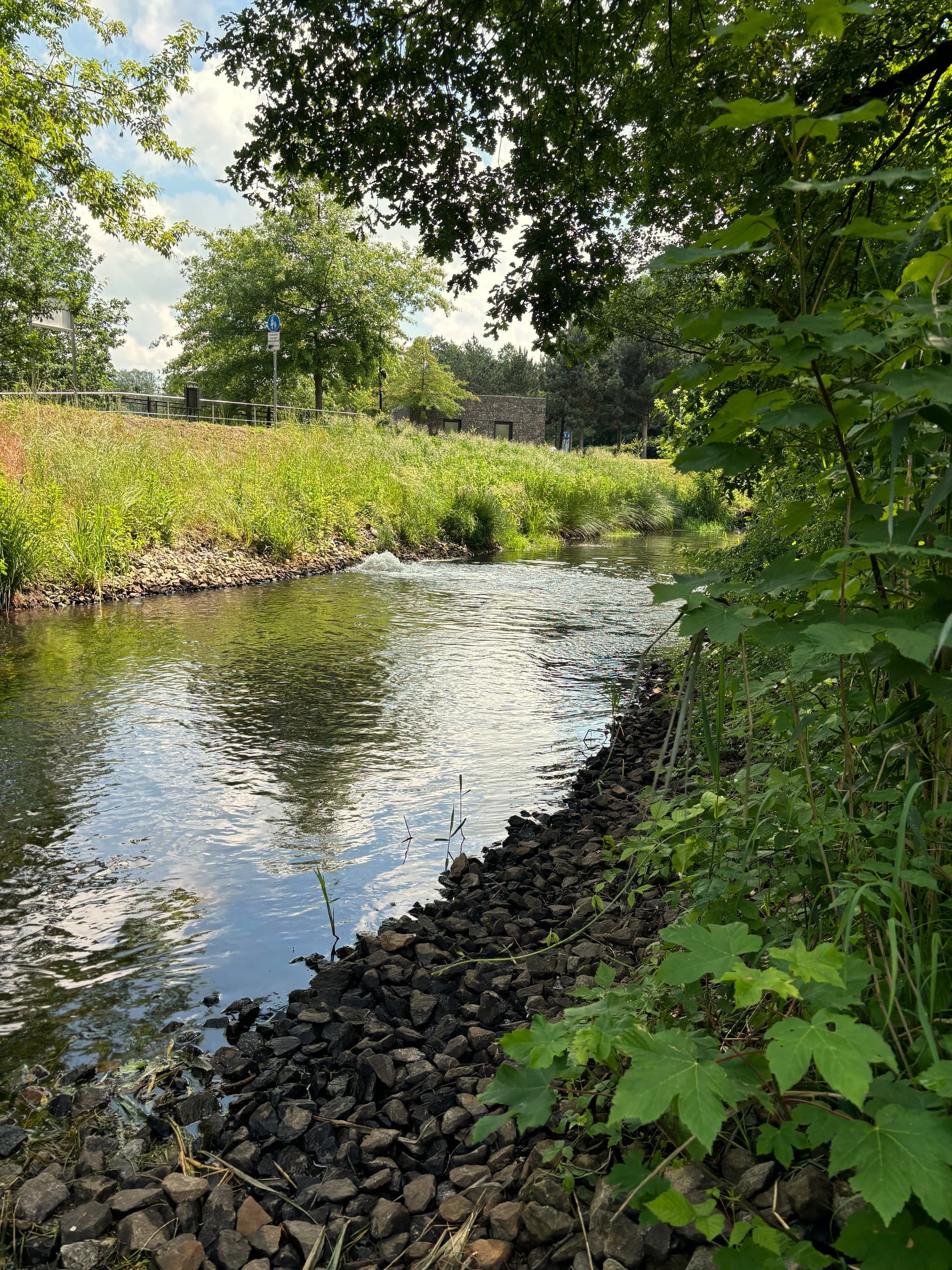 Ein ruhiger Fluss fließt durch üppiges Grün, mit Bäumen und Büschen an den felsigen Ufern unter einem teilweise bewölkten Himmel.