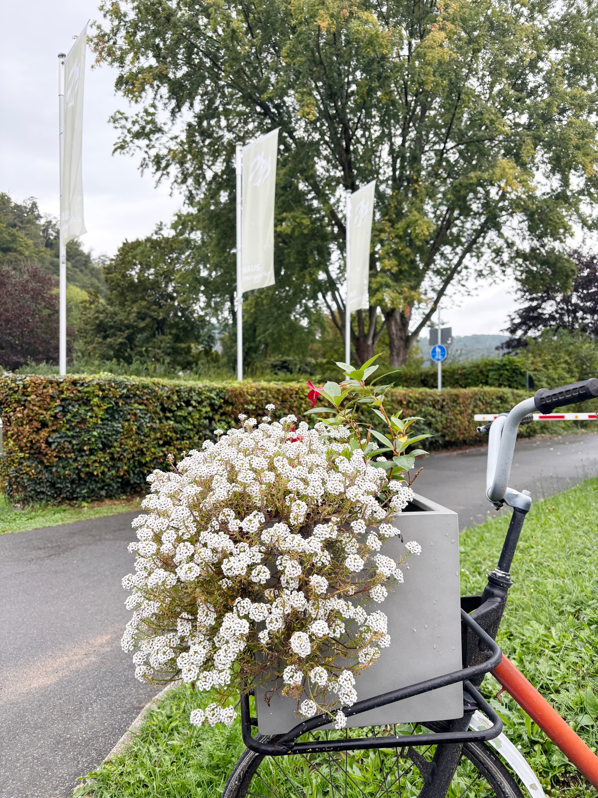 Galleriebild