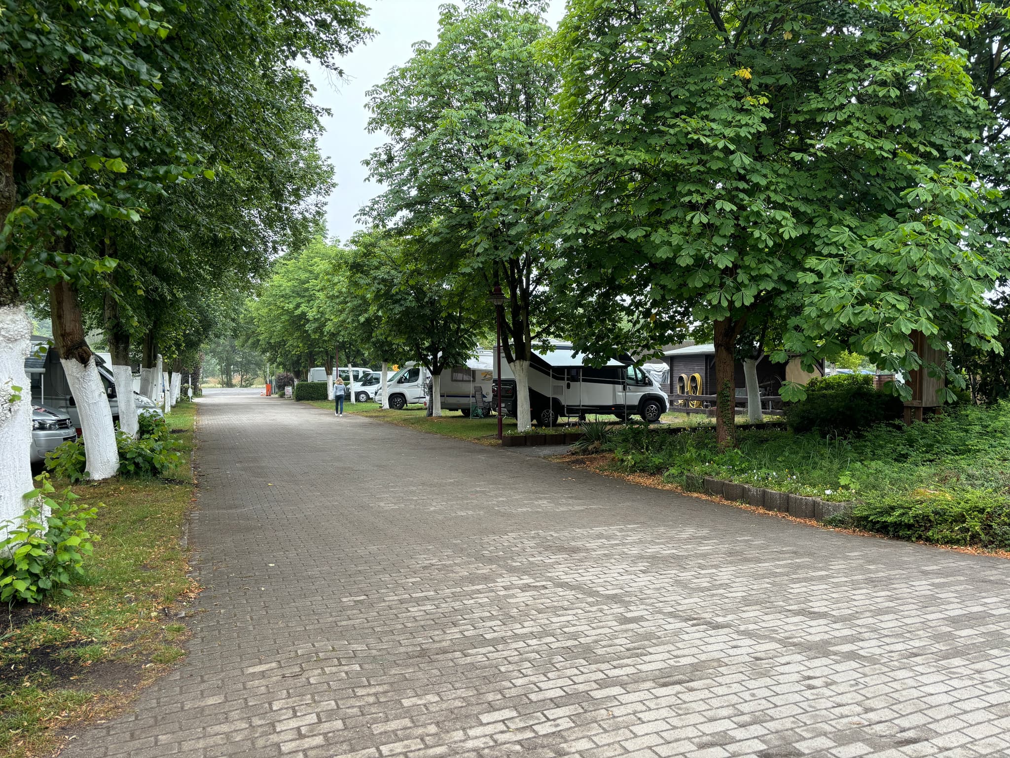Galleriebild