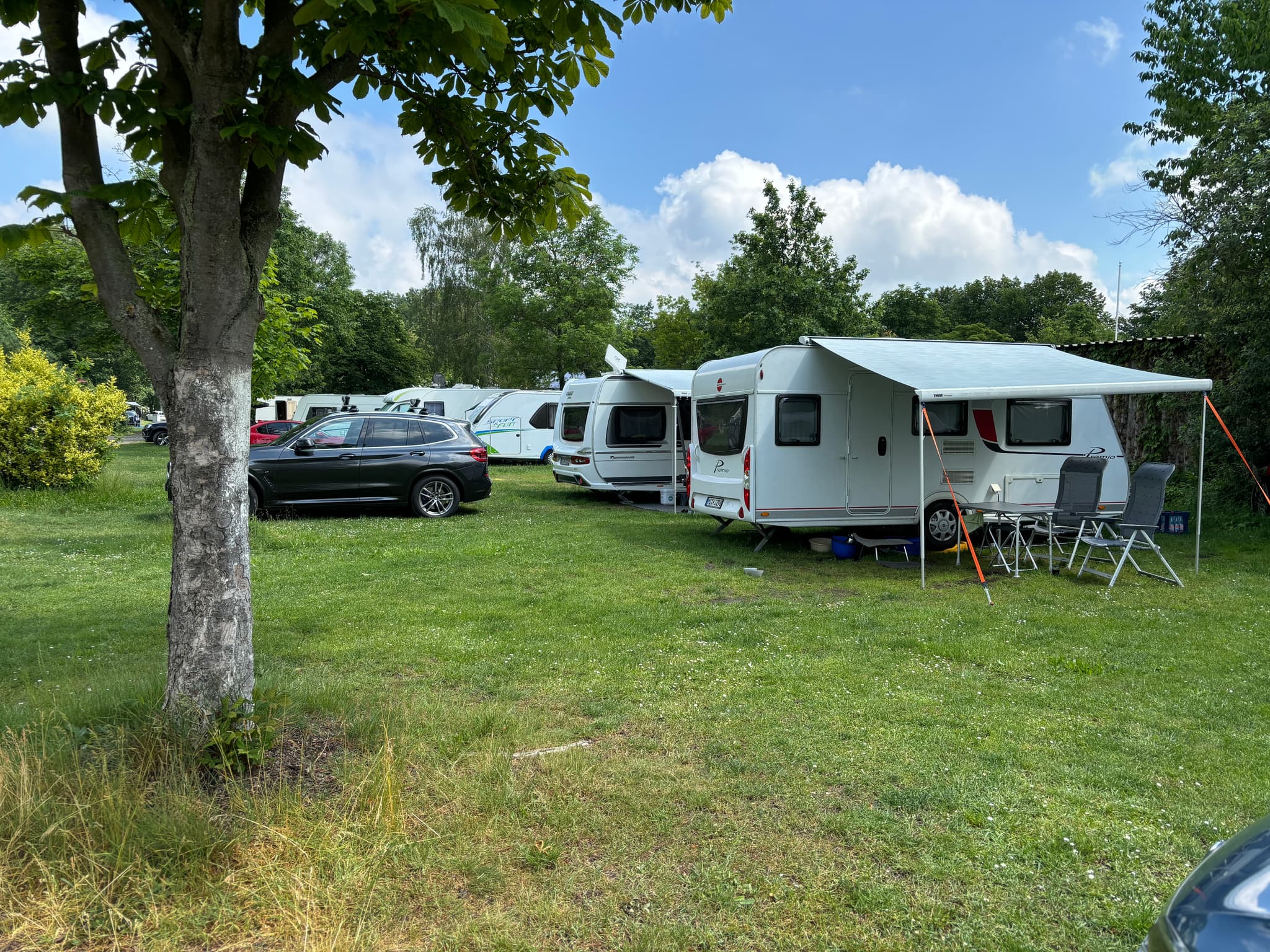 Auf einem grasbewachsenen Campingplatz geparkte Wohnwagen mit einem Baum im Vordergrund und einem klaren blauen Himmel darüber.