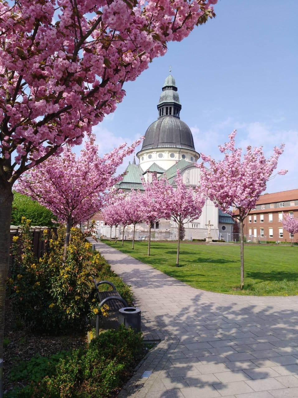Galleriebild