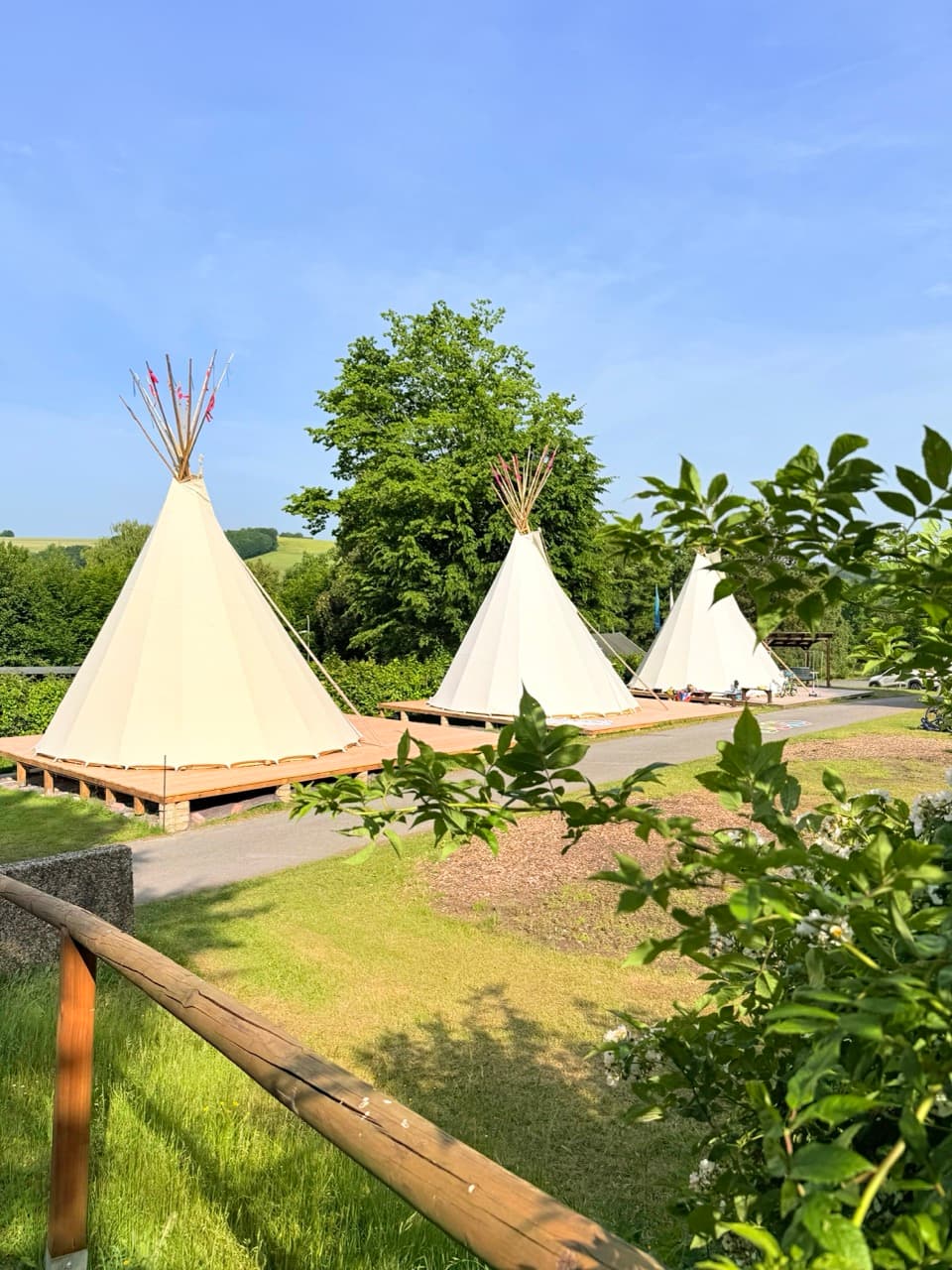 Drei weiße Tipis auf hölzernen Plattformen auf einer Wiese, umgeben von Bäumen und Sträuchern unter einem klaren blauen Himmel.