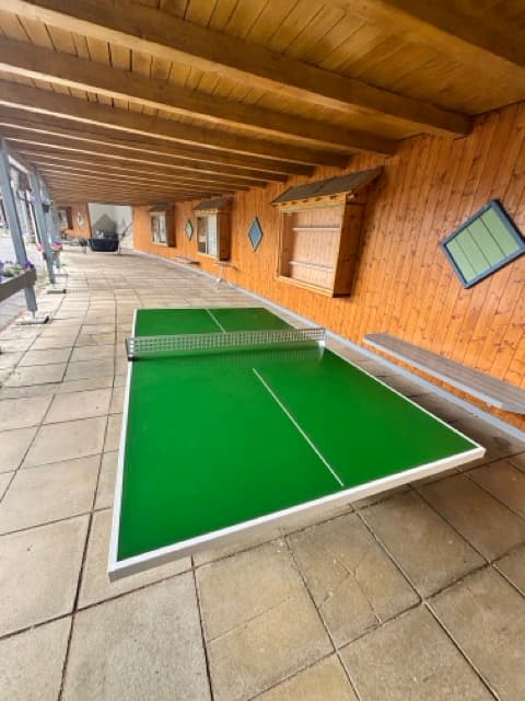 Tischtennis im Laubengang Galleriebild