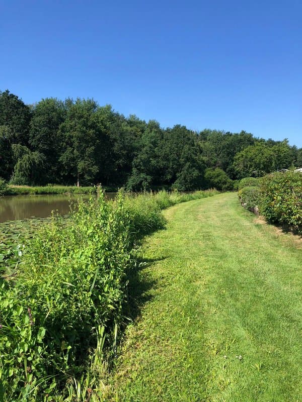 Direkt am Wasser Impressionen
