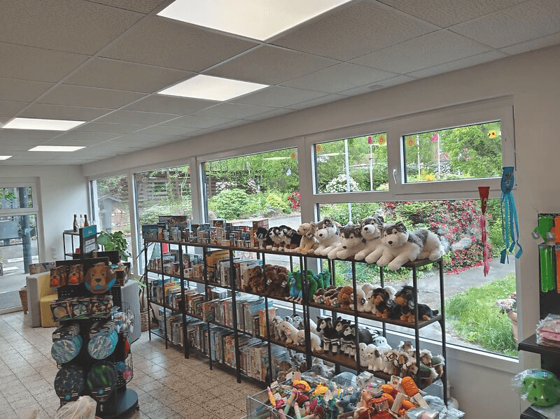 Shop mit Kinderspielzeug Galleriebild